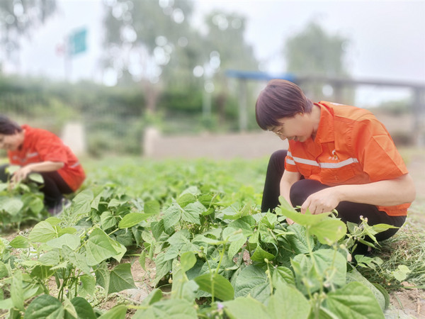 mmexport1748587448320_副本.jpg mmexport1748587448320_副本.jpg