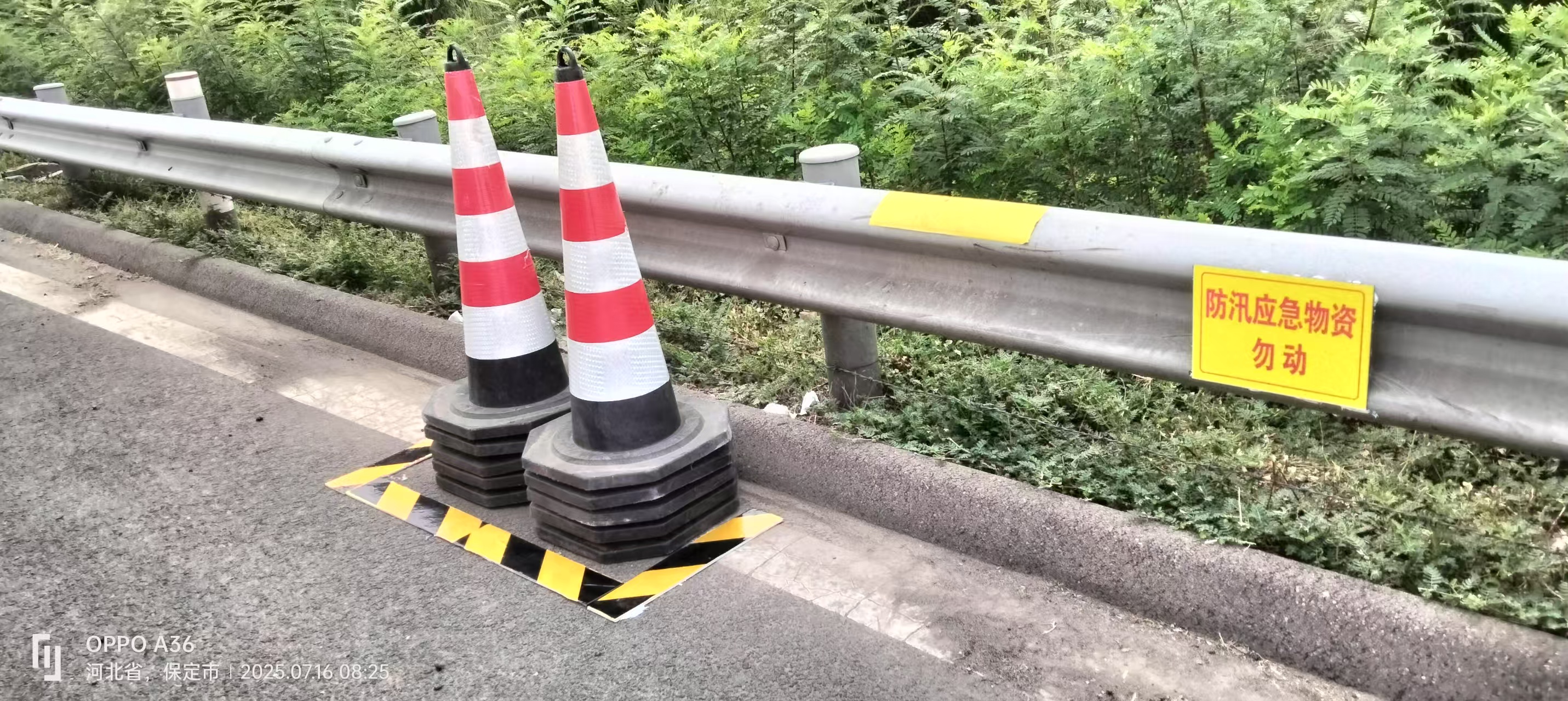 1654b84eb5302ab0e3b009bec15d812.jpg 1654b84eb5302ab0e3b009bec15d812.jpg